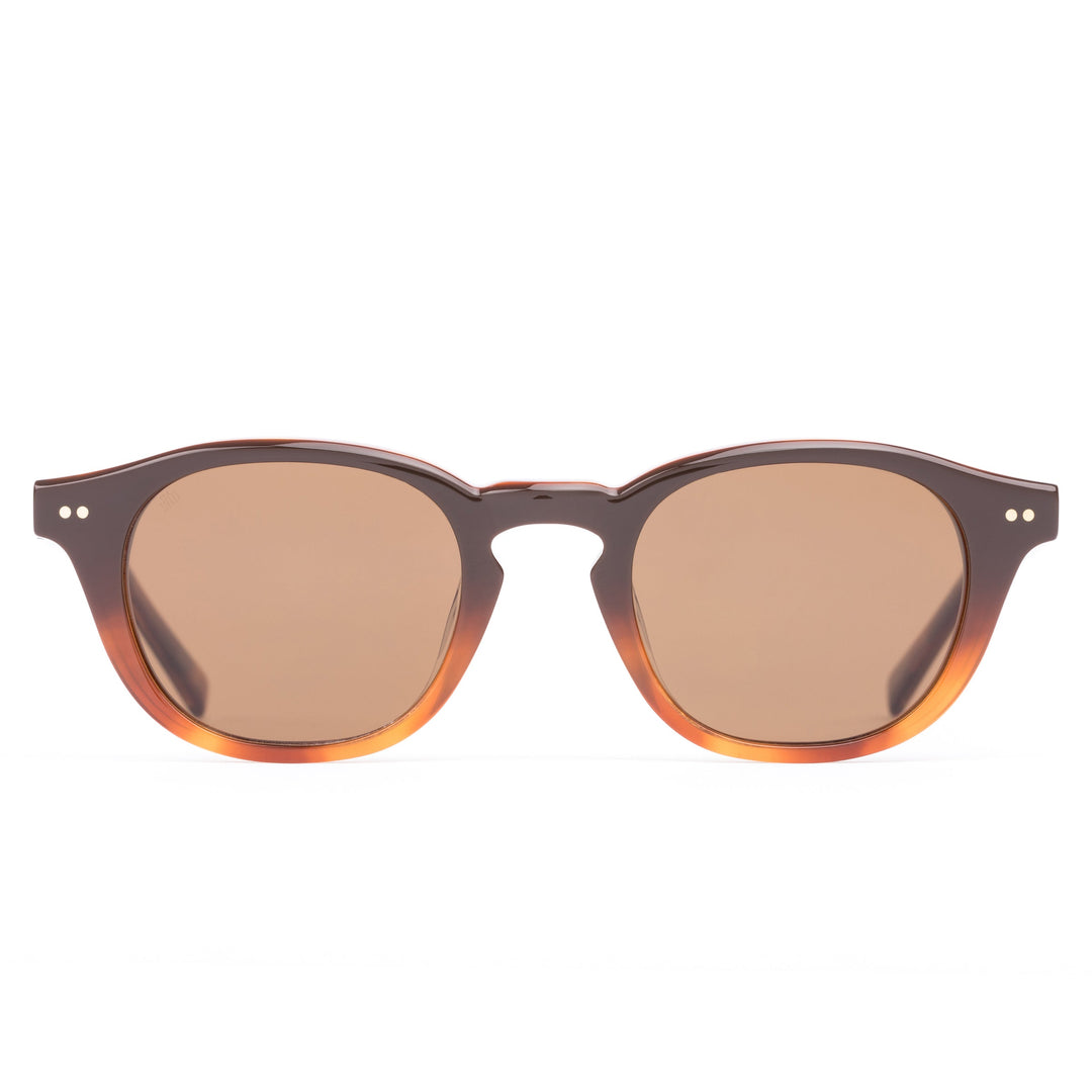 ELIO - TAN GRADIENT POLARISED