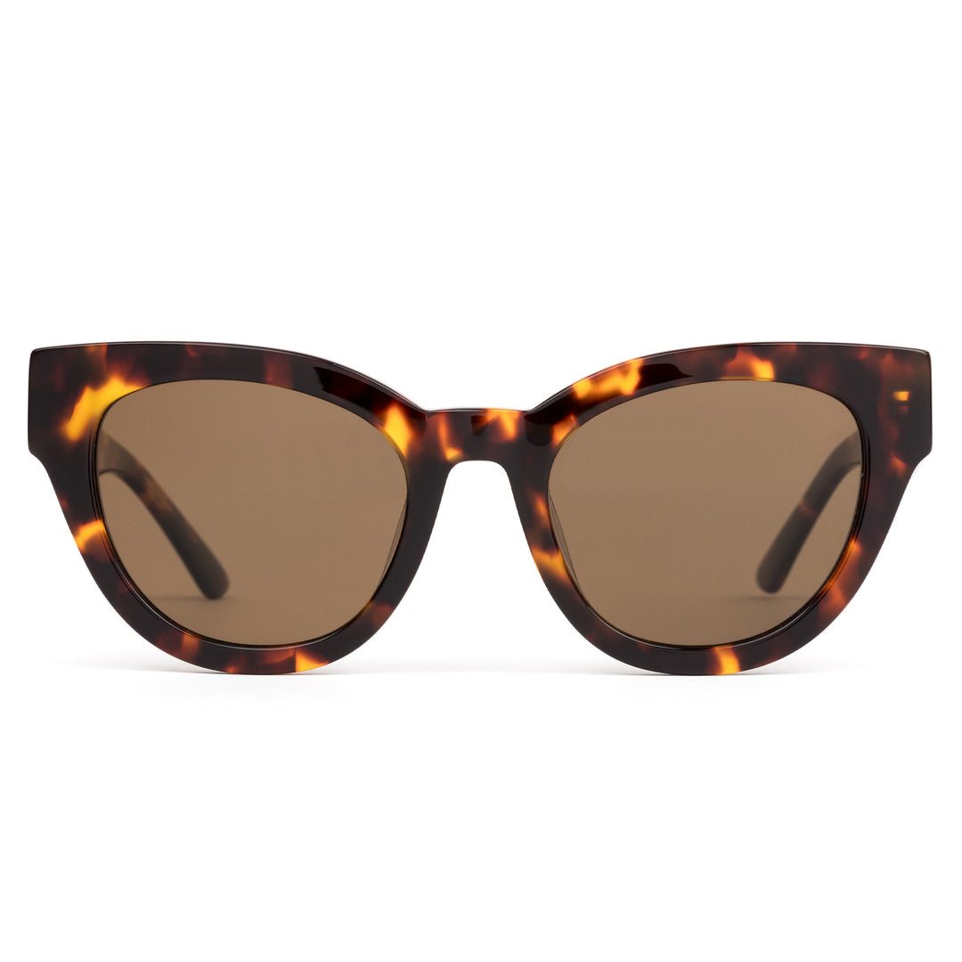 SOUL FUSION - MAPLE TORT POLARISED