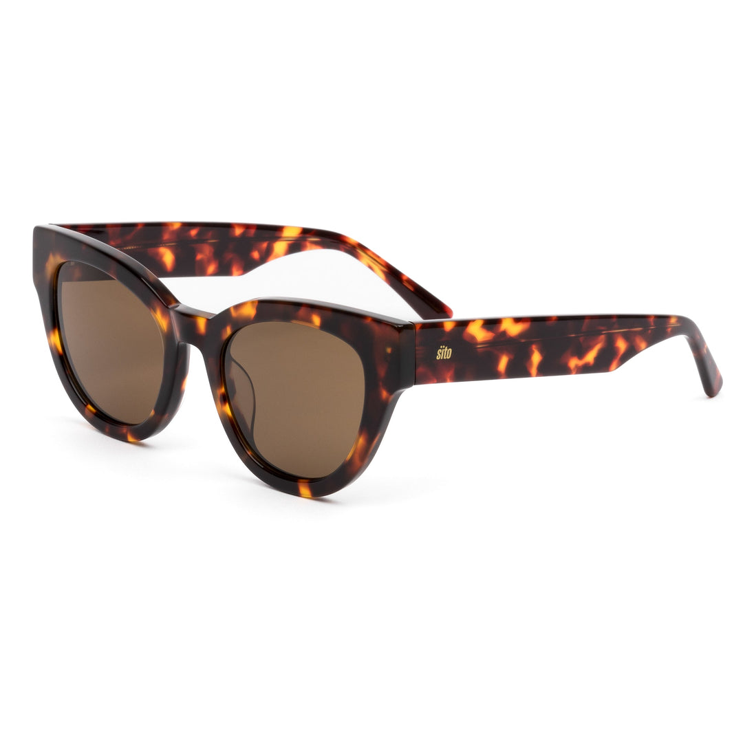 SOUL FUSION - MAPLE TORT POLARISED